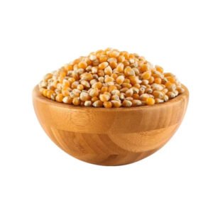 ذره فيشار